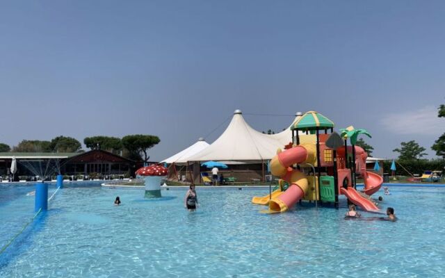 Mare Pineta 42191