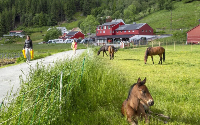 Solneset Farm