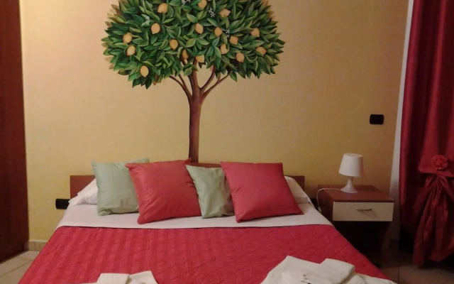 B & B Paradise