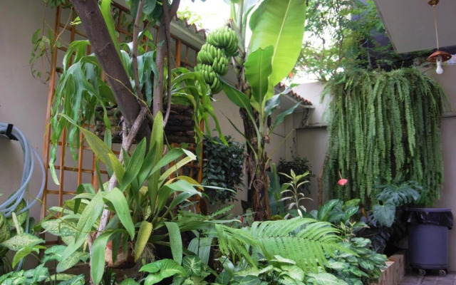 Hostal Macaw