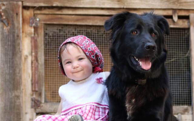 Cozy Apartment with Roof Terrace