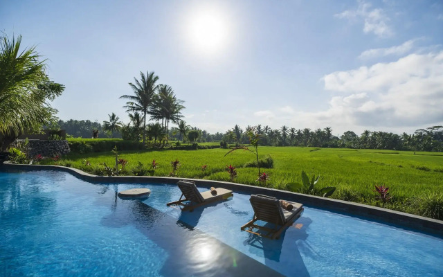 Beehouse Dijiwa Ubud