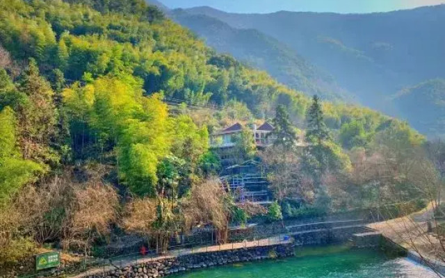 comphor and stream camping