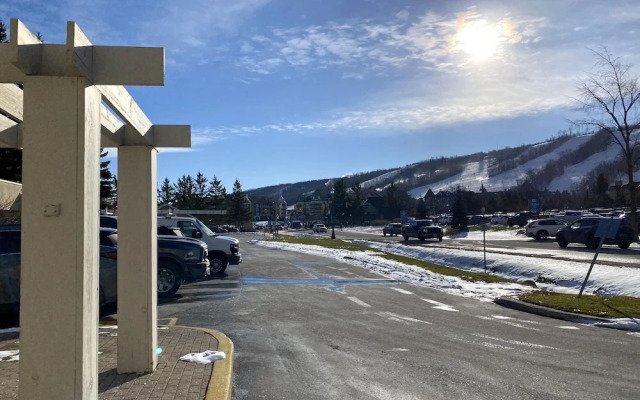 Wintergreen Condos