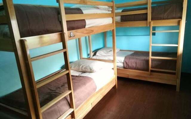 Art Garden Hostel and Tours