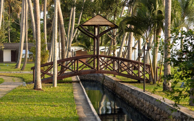 Lake Canopy