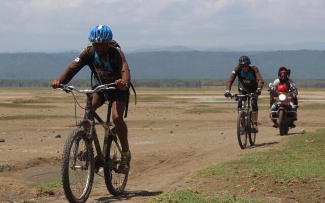 Mountain Bikes House