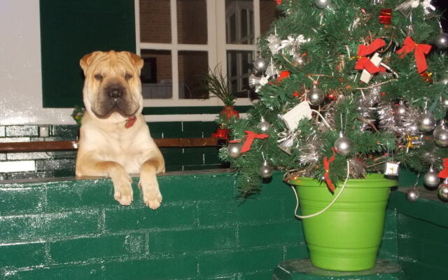 Pousada Arpoador de Búzios