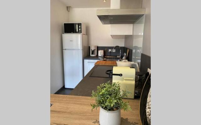Le Continental Beau T2 plein centre + parking