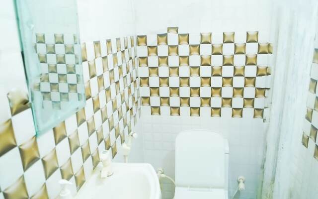 Roomshala 045 Galaxy Noida 35