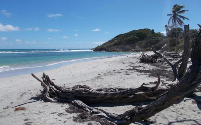 La Canopée T3 au Gosier