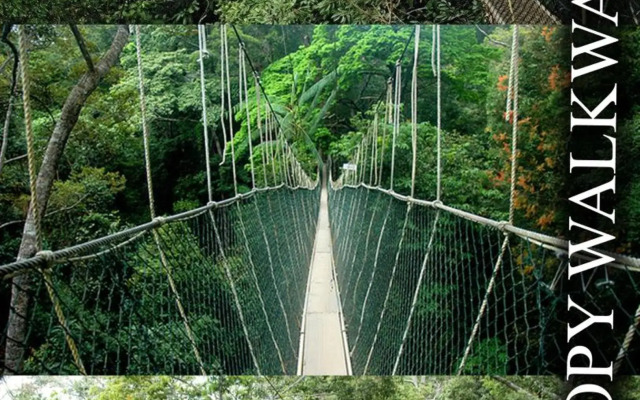 Xcape Resort at Taman Negara