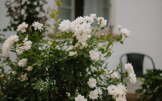 Plitzner Belvárosi Apartmanház