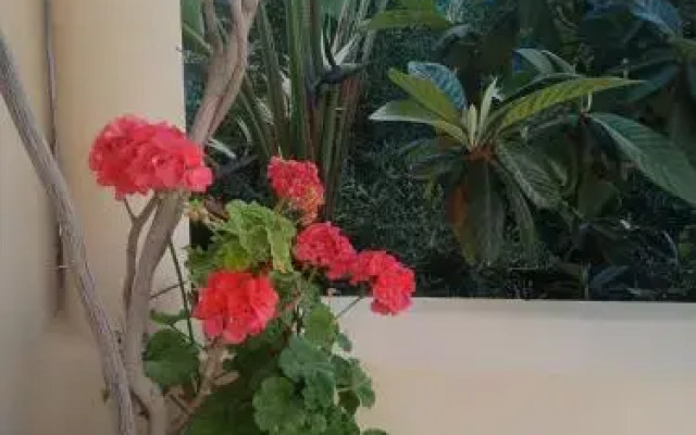 Riad Sahara Nour