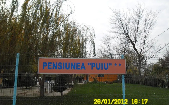 Pension Puiu