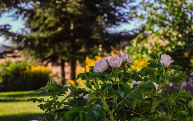 Aparthotel Biosostenible Jardín del Río Cuervo