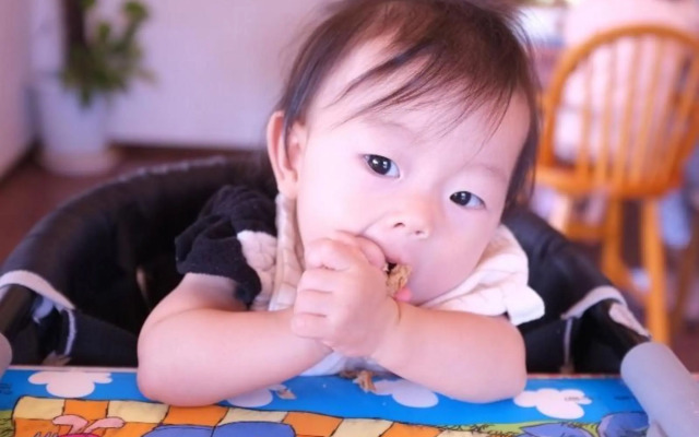 Kids Pension Fruit Juice (Awajishima)