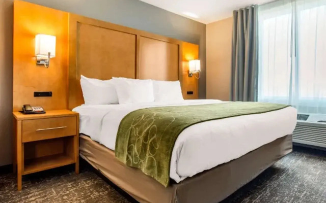 Comfort Suites North Charleston - Ashley Phosphate
