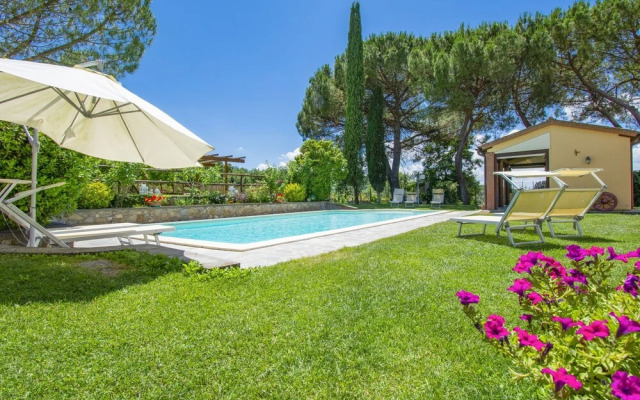 Cedri Alti Gavignano