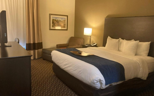Comfort Inn Wings Stadium