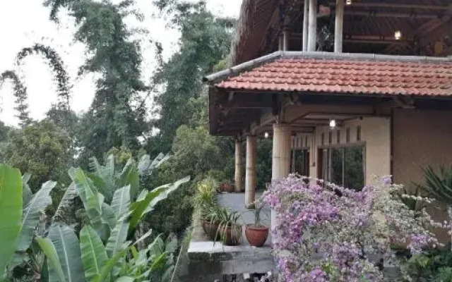Munduk Don Biyu