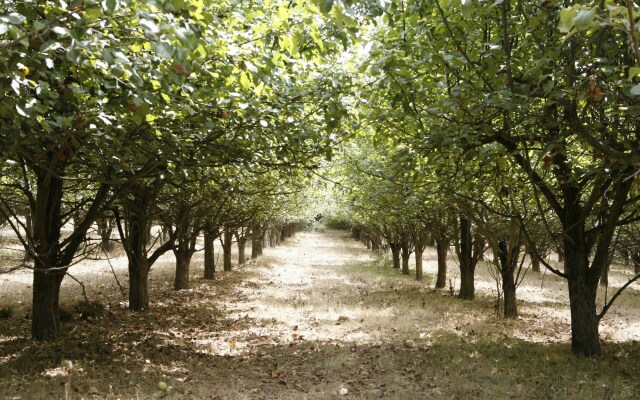 Parador Casa da Ínsua