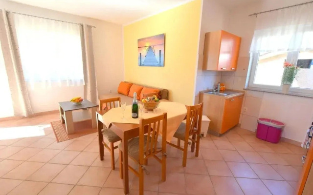 Dujmovic Miro - INH 33438