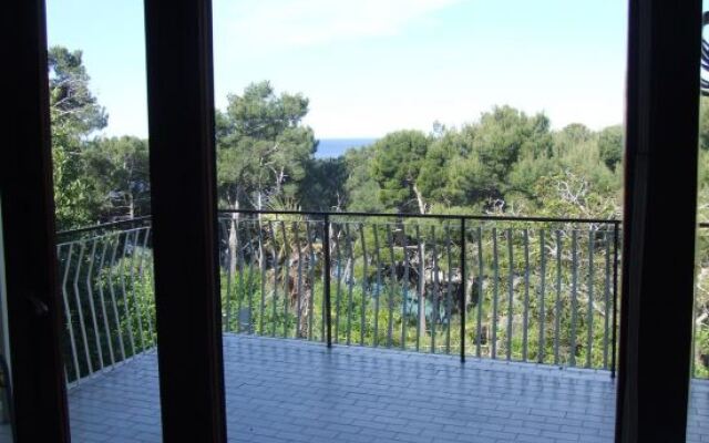 Apartment Deni