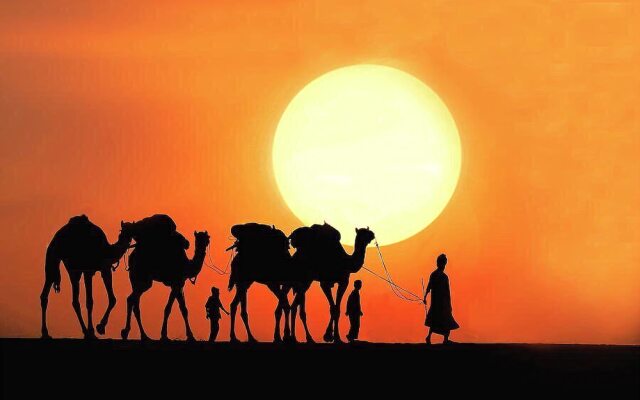 Abu Safari Jaisalmer