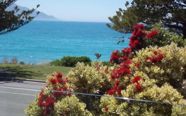 The Hamptons B&B Kaikoura