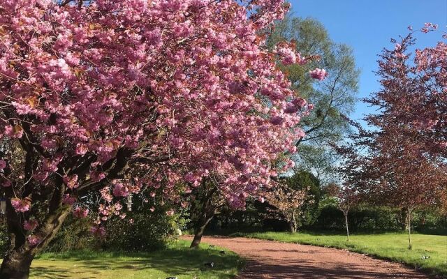 The Beeches B&B