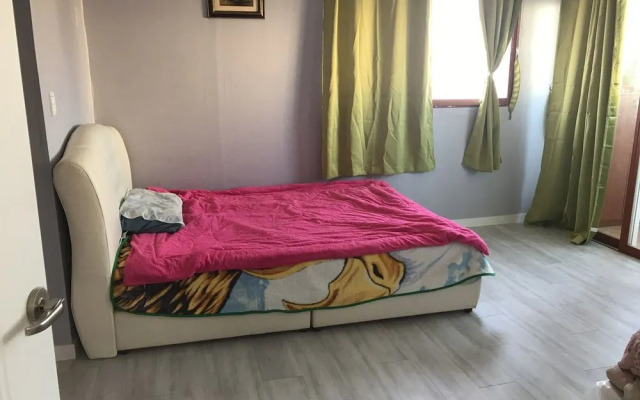 The house of gallery