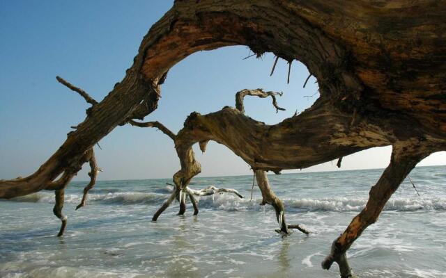 Blockhausferien Rügen - Meerblick