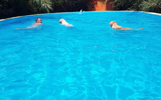 Mas Torrencito  Pet Friendly