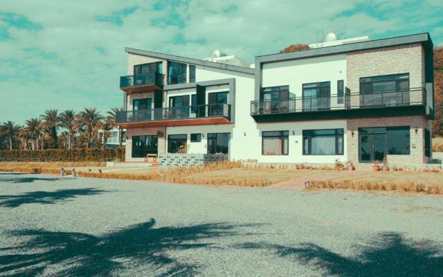 Shark B&B