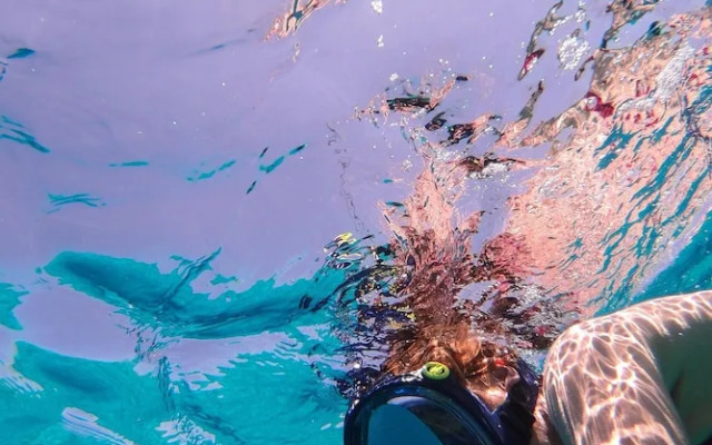 Treeloft Adventure in Nature for 4 People 14