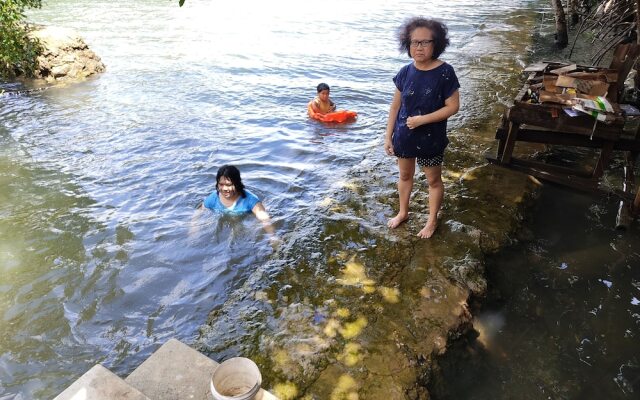 Guimaras Mangrove Guesthouse
