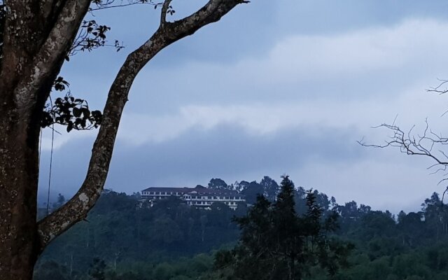 Standard Double Room-wayanad