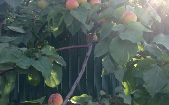 camera con giardino e piscina