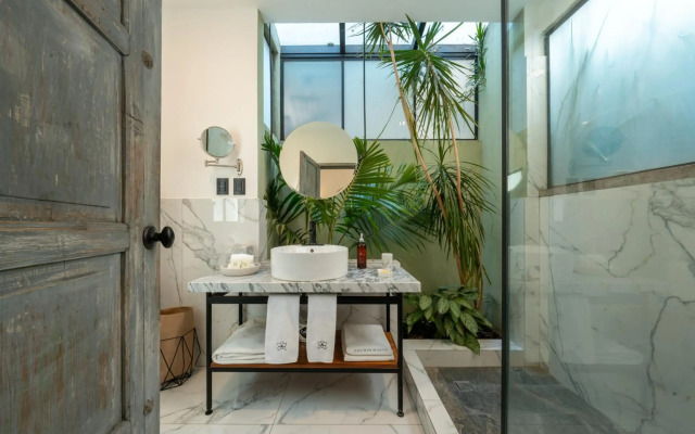 Orchid House Polanco