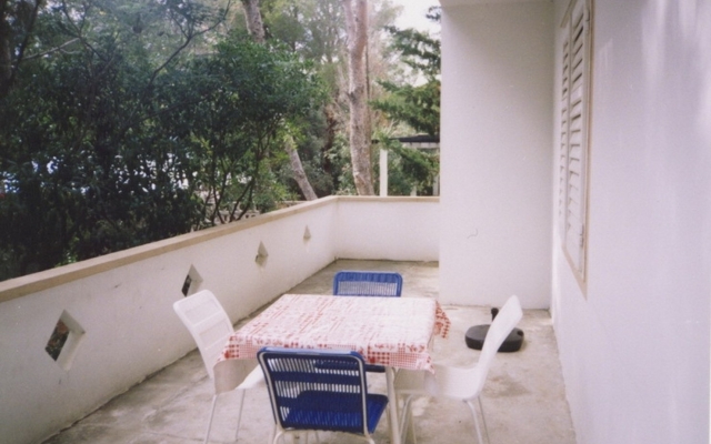 Apartment Ivan1 - 10m from the beach with parking: A1 Donji Stara Novalja, Island Pag