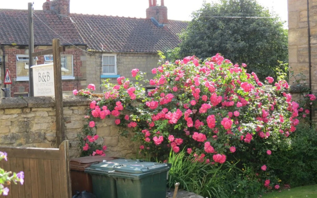 Pear Tree House Bed and Breakfast