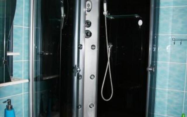 Barberry on the street of the Five-year plan 113