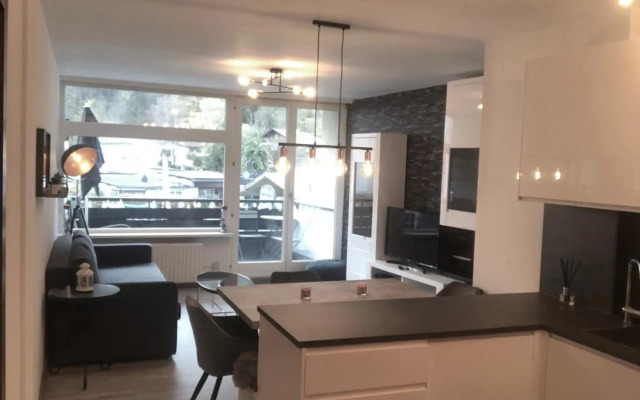 Ski and Lake View Apartment