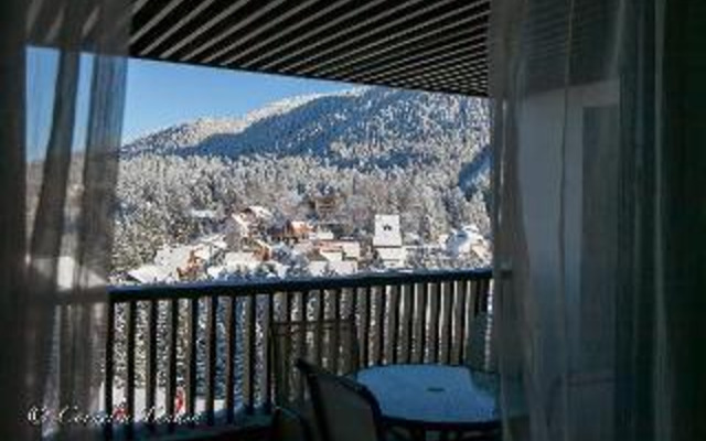 Alpin Aparthotel