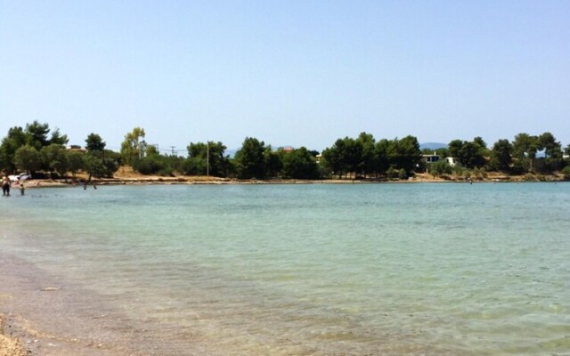 Apartment With in Drossia Chalkis With Wonderful sea View