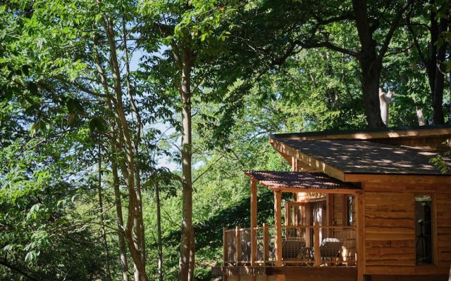 Tree House Retreats