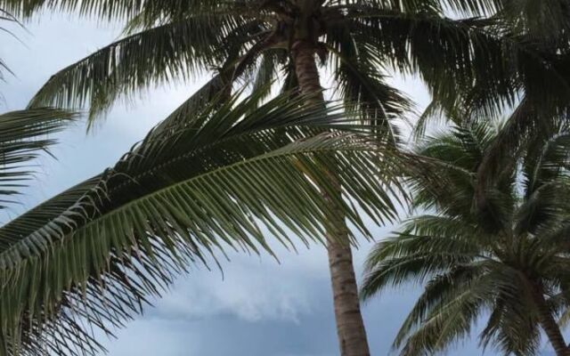 Leeloo Cabana Beach Club Bungalows