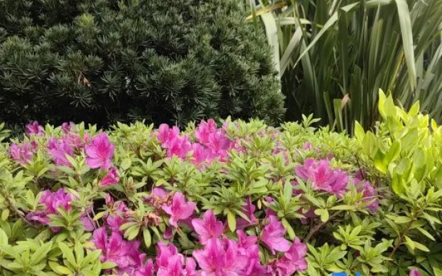 Vienna International Hotel