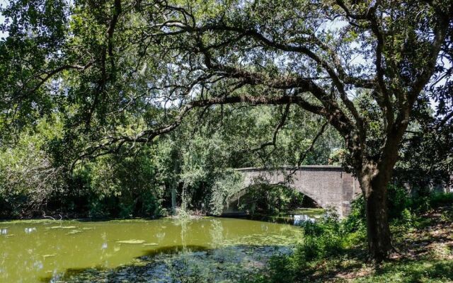Spacious 5 Bedroom Near Magazine St & Uptown
